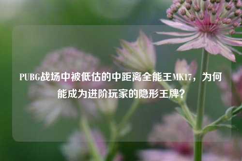PUBG战场中被低估的中距离全能王MK17,为何能成为进阶玩家的隐形王牌?