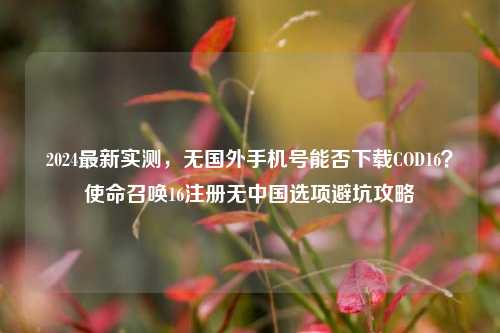 2024最新实测，无国外手机号能否下载COD16？使命召唤16注册无中国选项避坑攻略