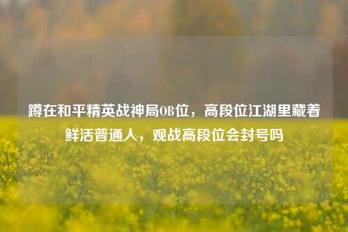 蹲在和平精英战神局OB位,高段位江湖里藏着鲜活普通人,观战高段位会封号吗