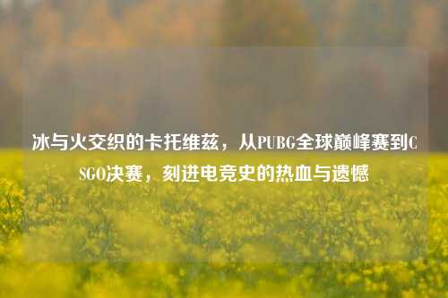 冰与火交织的卡托维兹,从PUBG全球巅峰赛到CSGO决赛,刻进电竞史的热血与遗憾