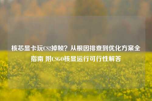 核芯显卡玩CS2掉帧?从根因排查到优化方案全指南 附CSGO核显运行可行性解答