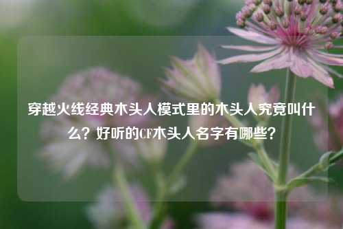 穿越火线经典木头人模式里的木头人究竟叫什么?好听的CF木头人名字有哪些?