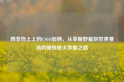 西非热土上的CSGO加纳,从草根野服到世界赛场的硬核枪火发展之路