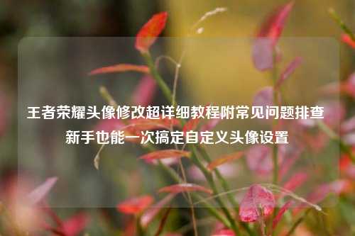 王者荣耀头像修改超详细教程附常见问题排查 新手也能一次搞定自定义头像设置