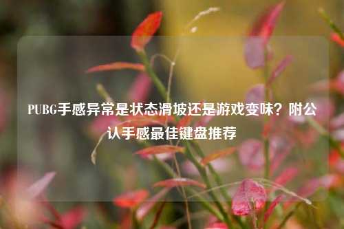 PUBG手感异常是状态滑坡还是游戏变味?附公认手感最佳键盘推荐