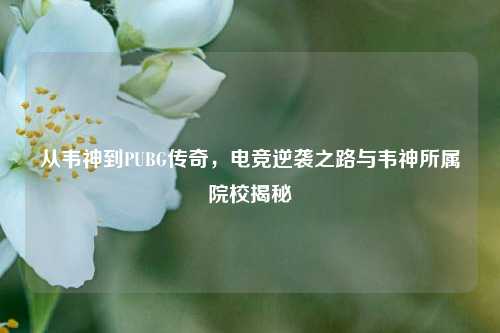 从韦神到PUBG传奇，电竞逆袭之路与韦神所属院校揭秘