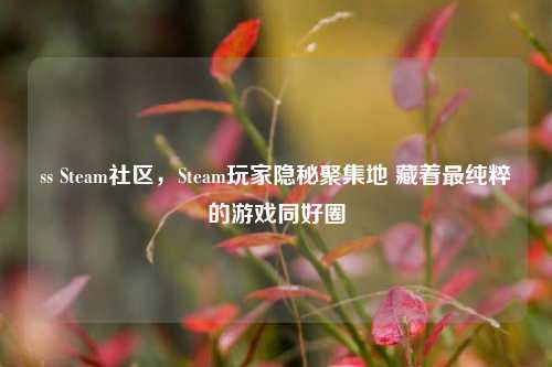 ss Steam社区,Steam玩家隐秘聚集地 藏着最纯粹的游戏同好圈
