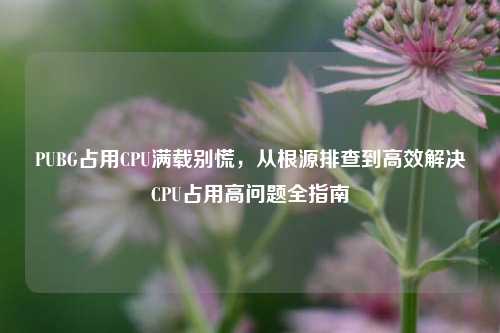 PUBG占用CPU满载别慌,从根源排查到高效解决CPU占用高问题全指南