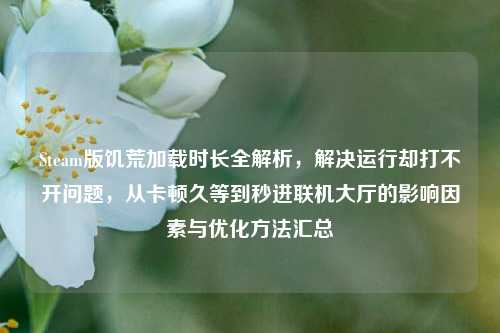 Steam版饥荒加载时长全解析，解决运行却打不开问题，从卡顿久等到秒进联机大厅的影响因素与优化方法汇总