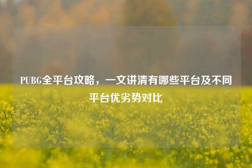 PUBG全平台攻略,一文讲清有哪些平台及不同平台优劣势对比