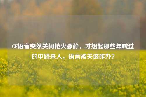 CF语音突然关闭枪火骤静,才想起那些年喊过的中路来人,语音被关该咋办?