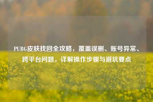 PUBG皮肤找回全攻略,覆盖误删、账号异常、跨平台问题,详解操作步骤与避坑要点