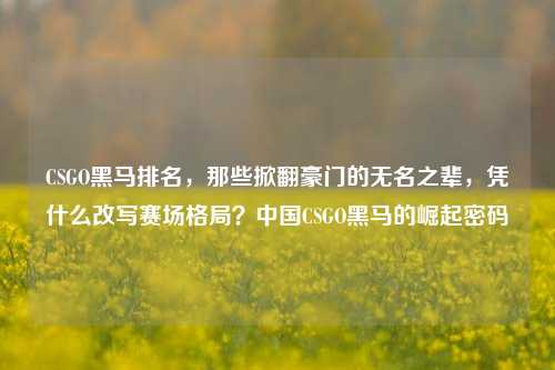 CSGO黑马排名,那些掀翻豪门的无名之辈,凭什么改写赛场格局?中国CSGO黑马的崛起密码