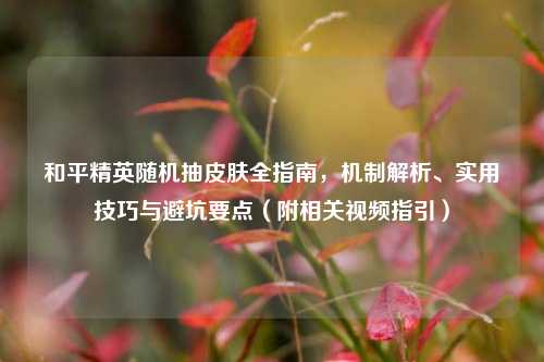 和平精英随机抽皮肤全指南,机制解析、实用技巧与避坑要点(附相关视频指引)