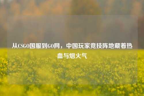 从CSGO国服到GO网,中国玩家竞技阵地藏着热血与烟火气