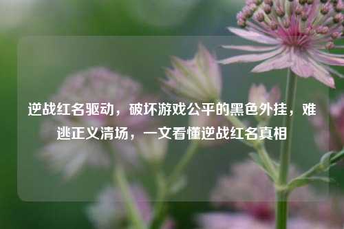 逆战红名驱动,破坏游戏公平的黑色外挂,难逃正义清场,一文看懂逆战红名真相