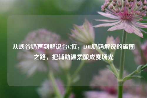 从峡谷奶声到解说台C位，LOL奶妈解说的破圈之路，把辅助温柔酿成赛场光