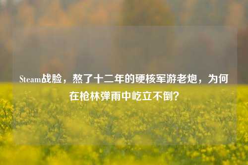 Steam战脸,熬了十二年的硬核军游老炮,为何在枪林弹雨中屹立不倒?