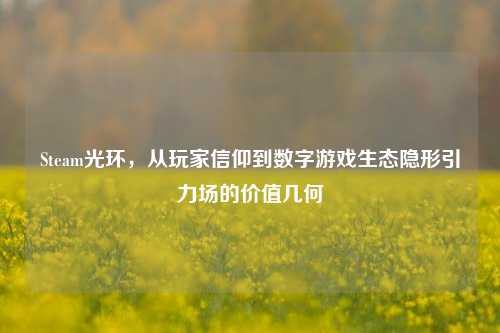 Steam光环,从玩家信仰到数字游戏生态隐形引力场的价值几何
