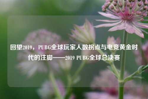 回望2019,PUBG全球玩家人数拐点与电竞黄金时代的注脚——2019 PUBG全球总决赛