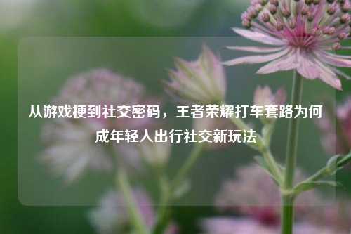 从游戏梗到社交密码,王者荣耀打车套路为何成年轻人出行社交新玩法