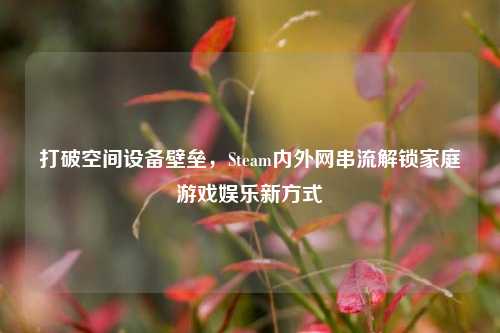 打破空间设备壁垒,Steam内外网串流解锁家庭游戏娱乐新方式