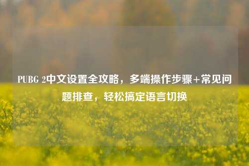 PUBG 2中文设置全攻略,多端操作步骤+常见问题排查,轻松搞定语言切换