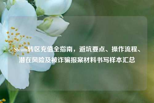 Steam转区充值全指南，避坑要点、操作流程、潜在风险及被诈骗报案材料书写样本汇总