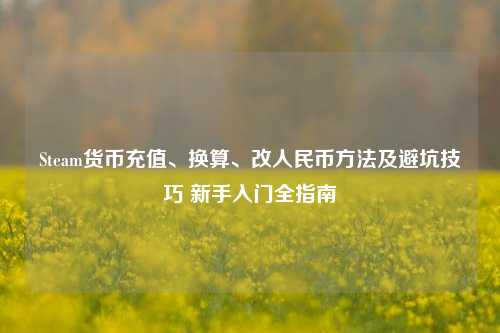 Steam货币充值、换算、改人民币方法及避坑技巧 新手入门全指南