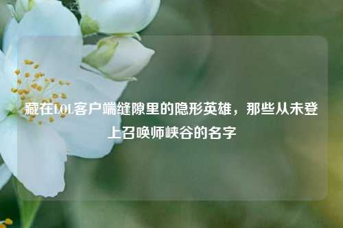 藏在LOL客户端缝隙里的隐形英雄，那些从未登上召唤师峡谷的名字