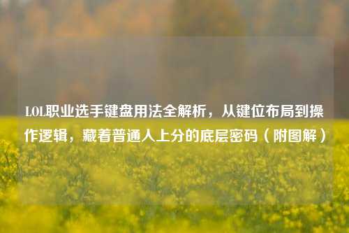 LOL职业选手键盘用法全解析,从键位布局到操作逻辑,藏着普通人上分的底层密码(附图解)