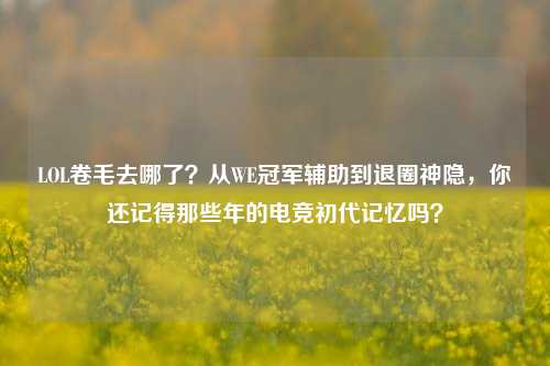 LOL卷毛去哪了？从WE冠军辅助到退圈神隐，你还记得那些年的电竞初代记忆吗？