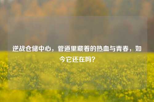 逆战仓储中心,管道里藏着的热血与青春,如今它还在吗?