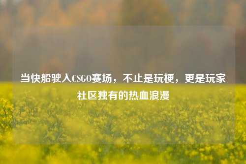 当快船驶入CSGO赛场，不止是玩梗，更是玩家社区独有的热血浪漫