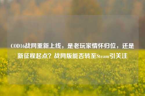 COD16战网重新上线,是老玩家情怀归位,还是新征程起点?战网版能否转至Steam引关注