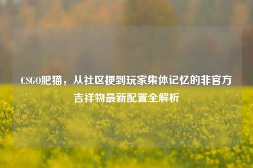 CSGO肥猫,从社区梗到玩家集体记忆的非官方吉祥物最新配置全解析