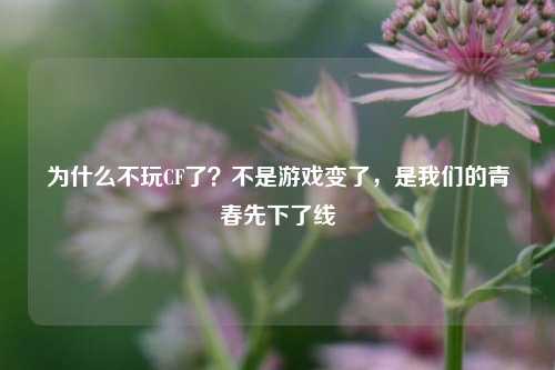 为什么不玩CF了?不是游戏变了,是我们的青春先下了线