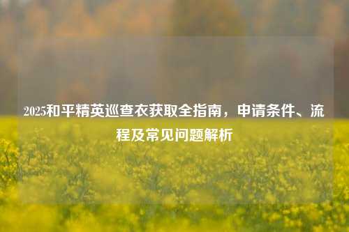 2025和平精英巡查衣获取全指南,申请条件、流程及常见问题解析