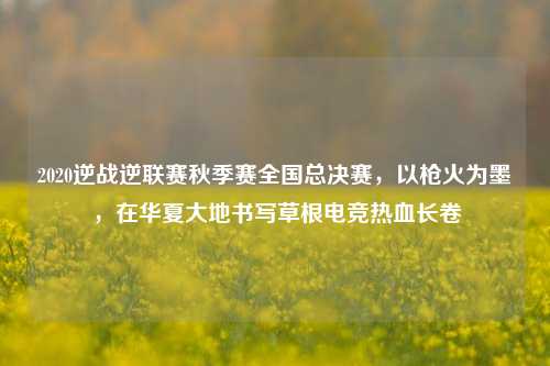 2020逆战逆联赛秋季赛全国总决赛，以枪火为墨，在华夏大地书写草根电竞热血长卷