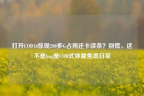 打开COD16惊现200多G占用还卡读条?别慌,这不是bug是COD式体量焦虑日常