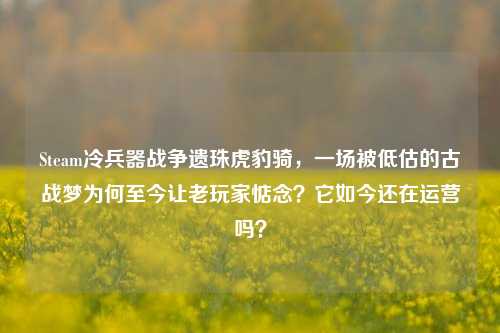 Steam冷兵器战争遗珠虎豹骑,一场被低估的古战梦为何至今让老玩家惦念?它如今还在运营吗?