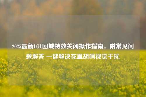 2025最新LOL回城特效关闭操作指南，附常见问题解答 一键解决花里胡哨视觉干扰