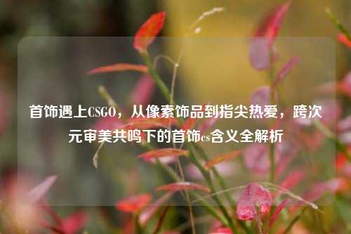 首饰遇上CSGO,从像素饰品到指尖热爱,跨次元审美共鸣下的首饰cs含义全解析