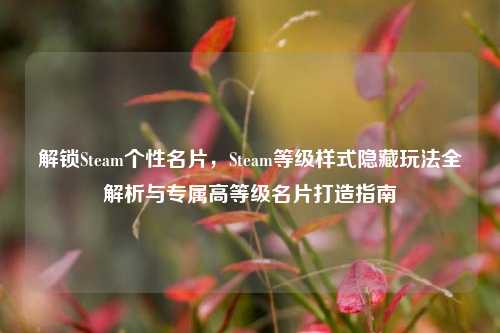 解锁Steam个性名片,Steam等级样式隐藏玩法全解析与专属高等级名片打造指南