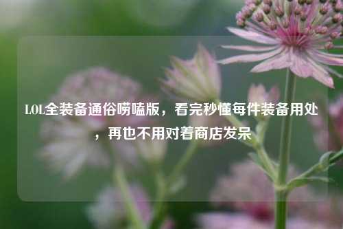 LOL全装备通俗唠嗑版,看完秒懂每件装备用处,再也不用对着商店发呆