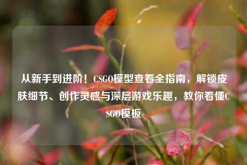 从新手到进阶!CSGO模型查看全指南,解锁皮肤细节、创作灵感与深层游戏乐趣,教你看懂CSGO模板