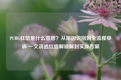PUBG红信是什么意思?从原因识别到全流程申诉 一文讲透红信解锁解封实操方案