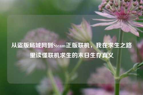 从盗版局域网到Steam正版联机，我在求生之路里读懂联机求生的末日生存真义