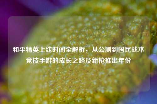 和平精英上线时间全解析,从公测到国民战术竞技手游的成长之路及新枪推出年份