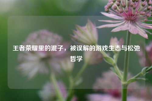 王者荣耀里的混子,被误解的游戏生态与松弛哲学